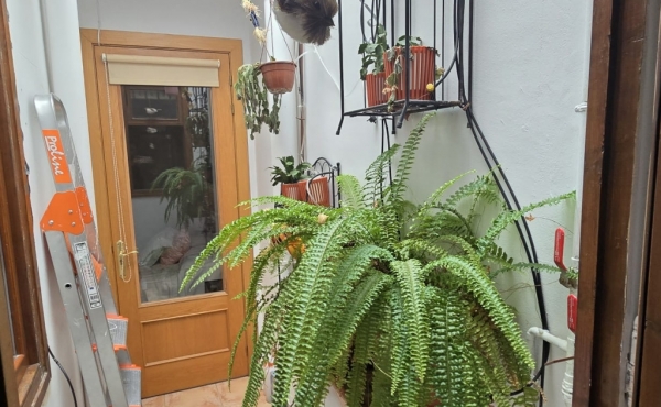 IMG-20241023-WA0072