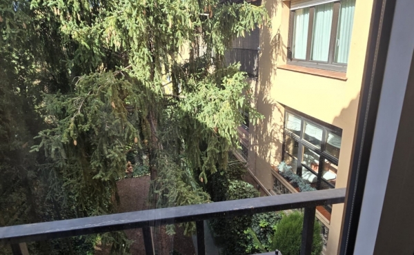 IMG-20241023-WA0081