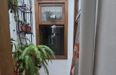IMG-20241023-WA0071